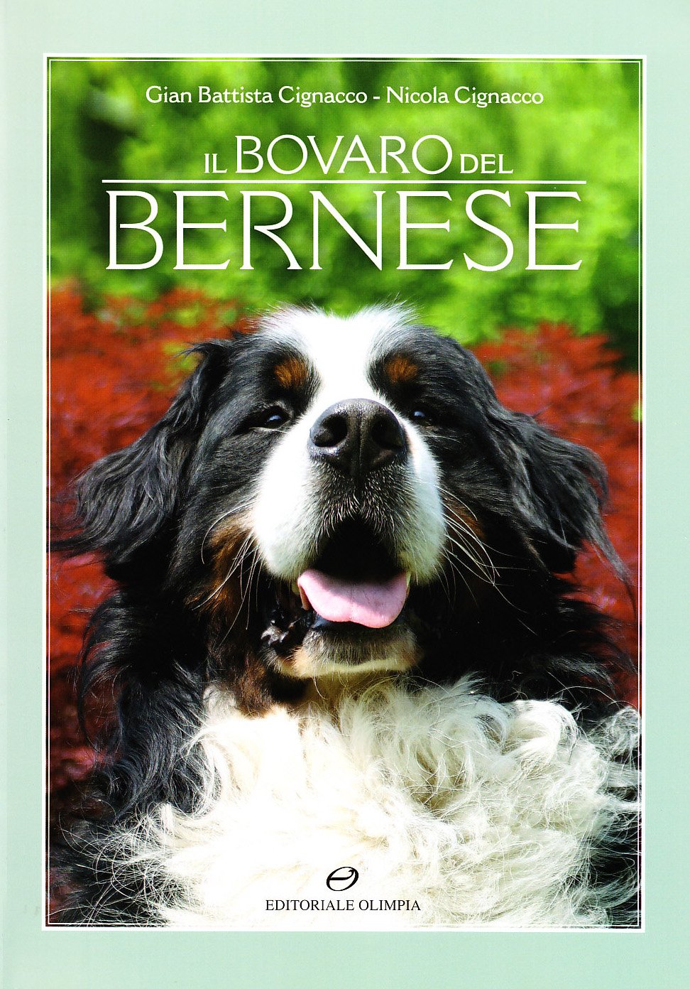 Il bavaro del bernese book