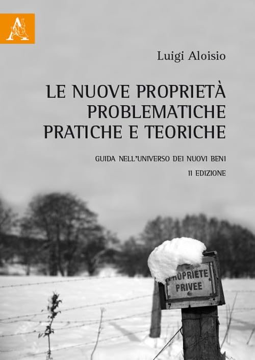 Le nuove proprietà, problematiche pratiche e teoriche. Guida nell'universo dei nuovi beni Law