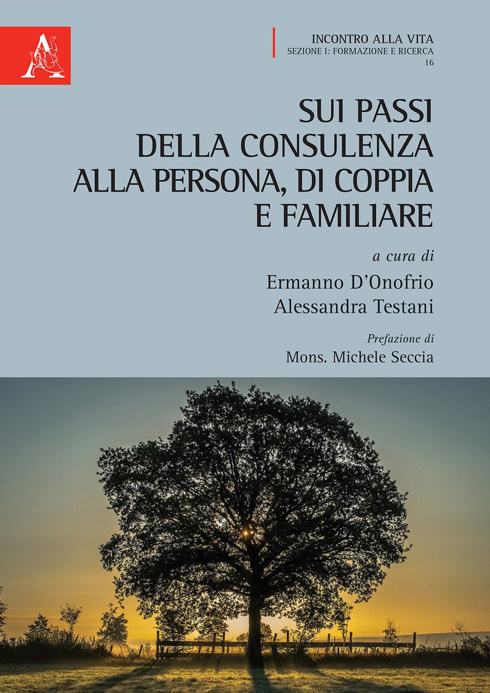 Sui passi della consulenza alla persona, di coppia e familiare book
