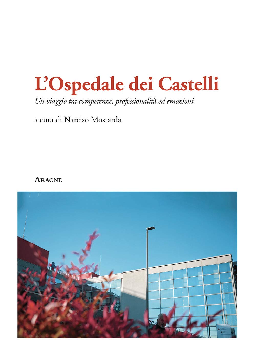 L'Ospedale dei Castelli. Un viaggio tra competenze, professionalità ed emozioni book