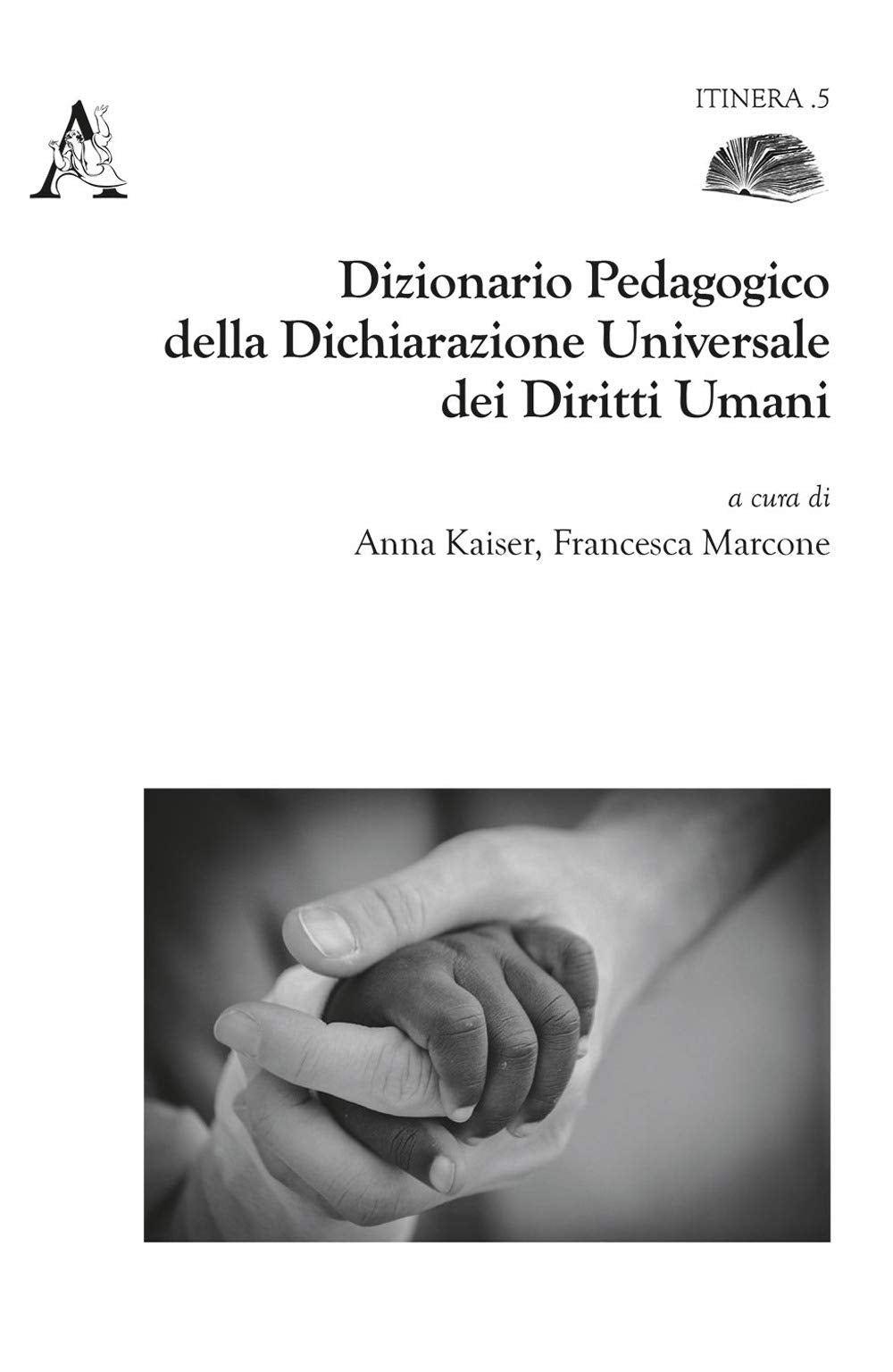 Dizionario pedagogico della dichiarazione universale dei diritti umani book