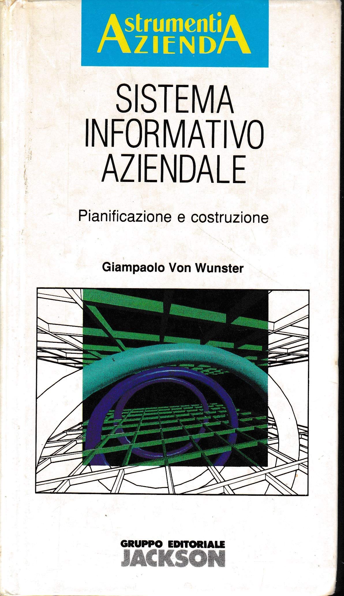 Sistema informativo aziendale. Pianificazione e costruzione Business, Finance & Career Books