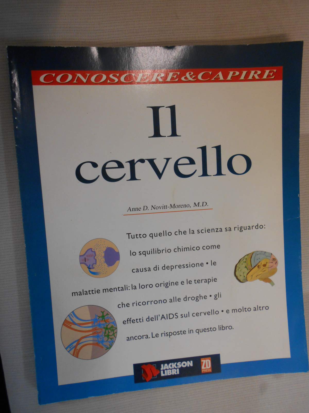 Il cervello (Conoscere e capire) Natural Sciences