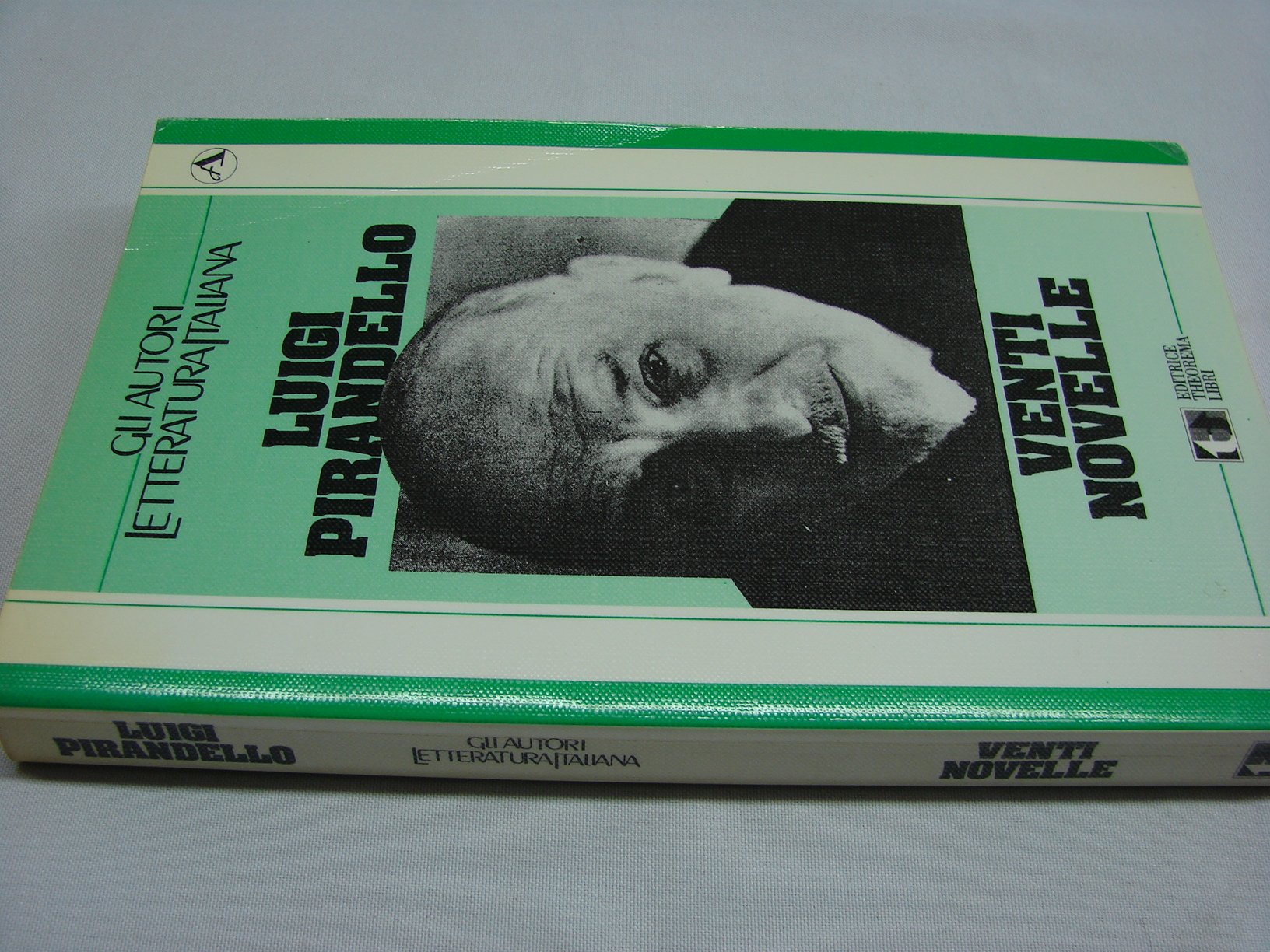 Venti novelle (Gli autori:letteratura italiana) Professional & Reference Books