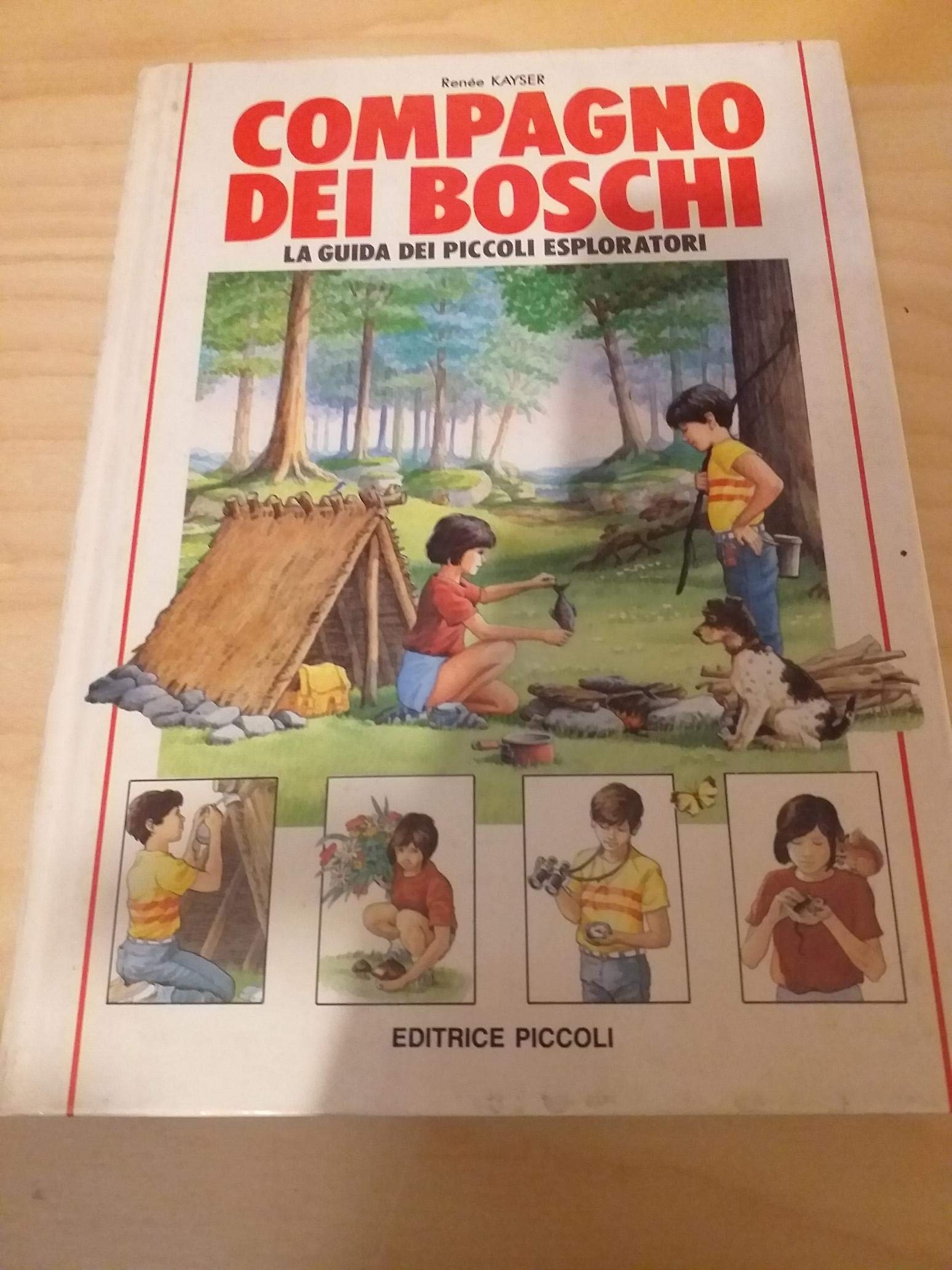 Compagno dei boschi. La guida di piccoli esploratori book