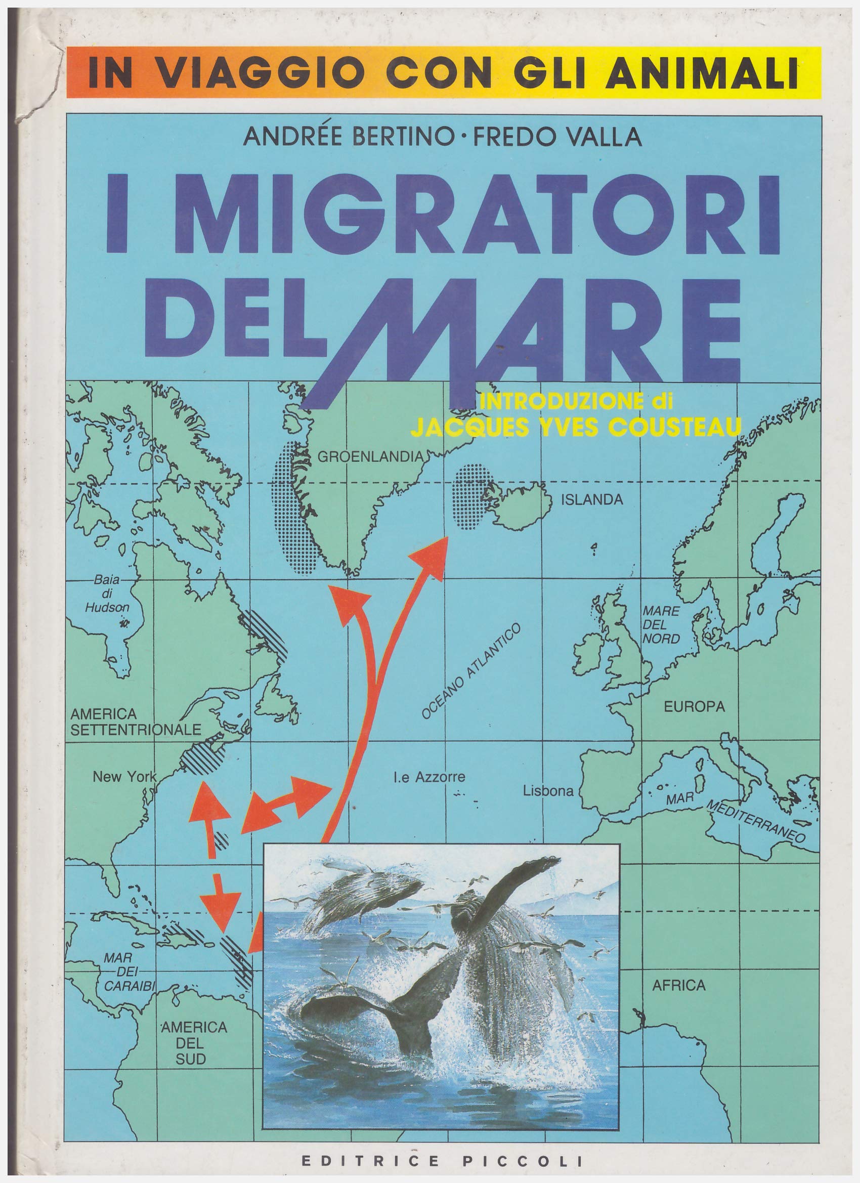 I migratori del mare. in viaggio con gli animali book