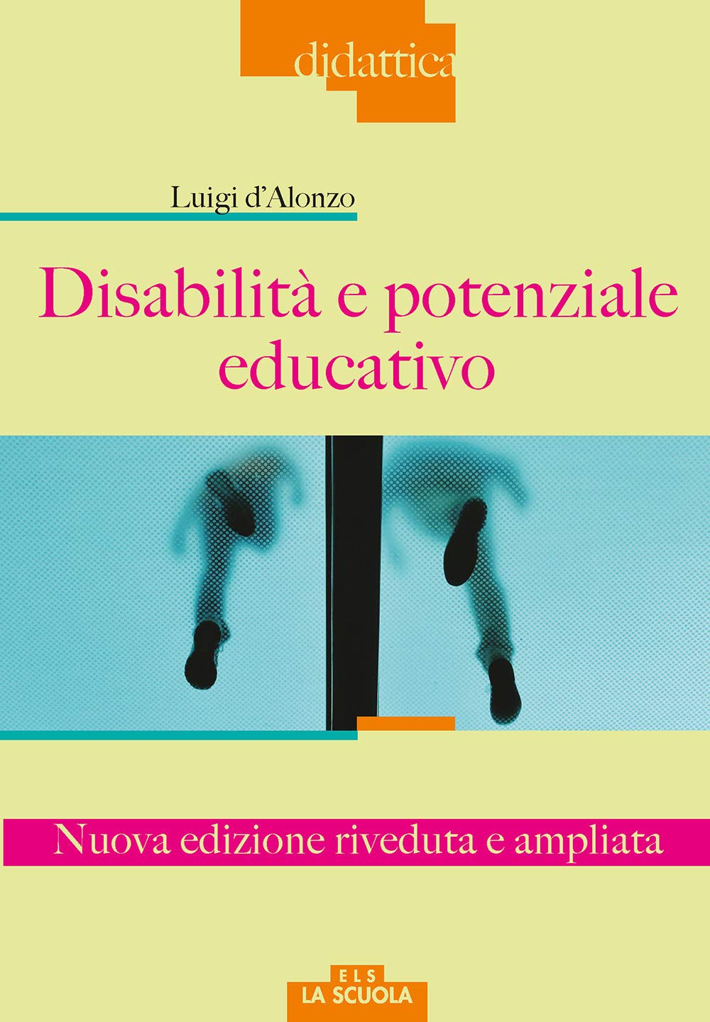 Disabilità e potenziale educativo (Didattica, Band 53) Education & Training