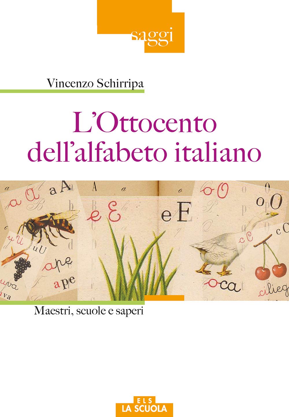 L'Ottocento dell'alfabeto italiano. Maestri, scuole e saperi book