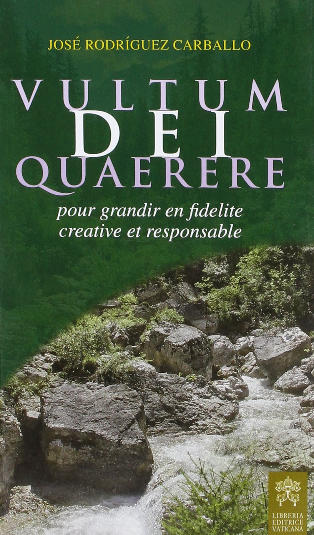 Vultum Dei quaerere. Pour grandir en fidelite creative et responsable book