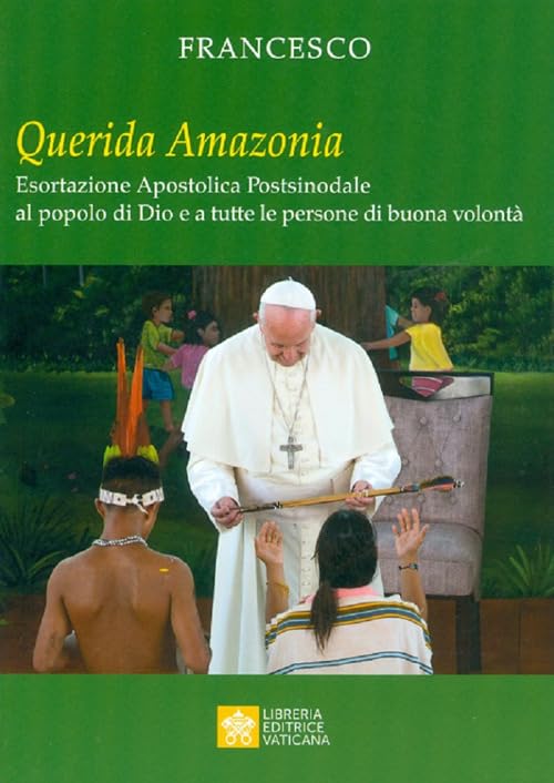 «Querida Amazonia». Esortazione apostolica postsinodale al popolo di Dio e a tutte le persone di buona volontà book