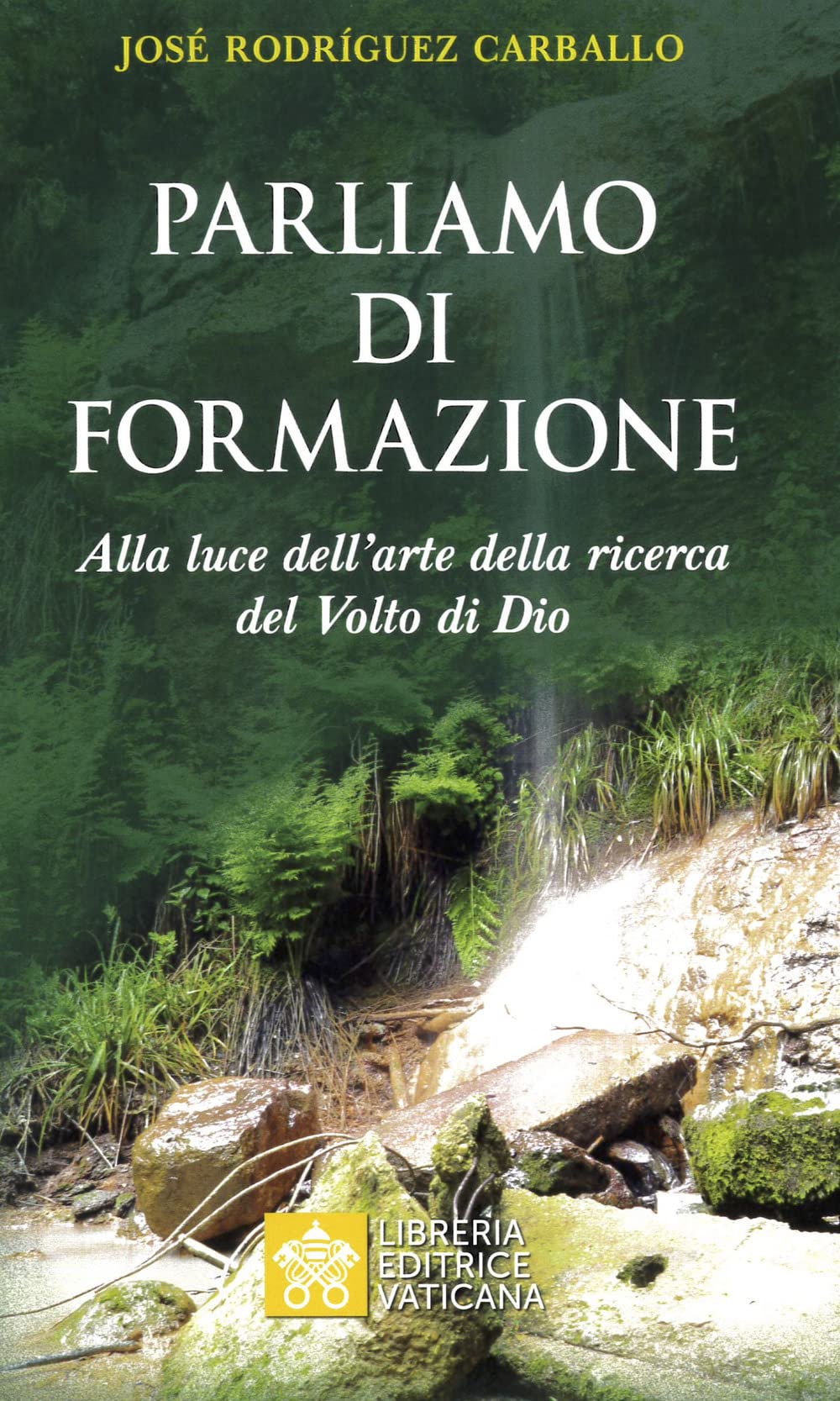 Parliamo di formazione. Alla luce dell’arte della ricerca del Volto di Dio Religion & Esotericism