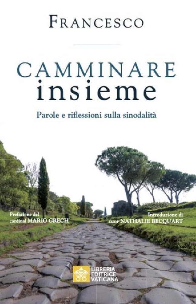 Camminare insieme. Parole e riflessioni sulla sinodalità book