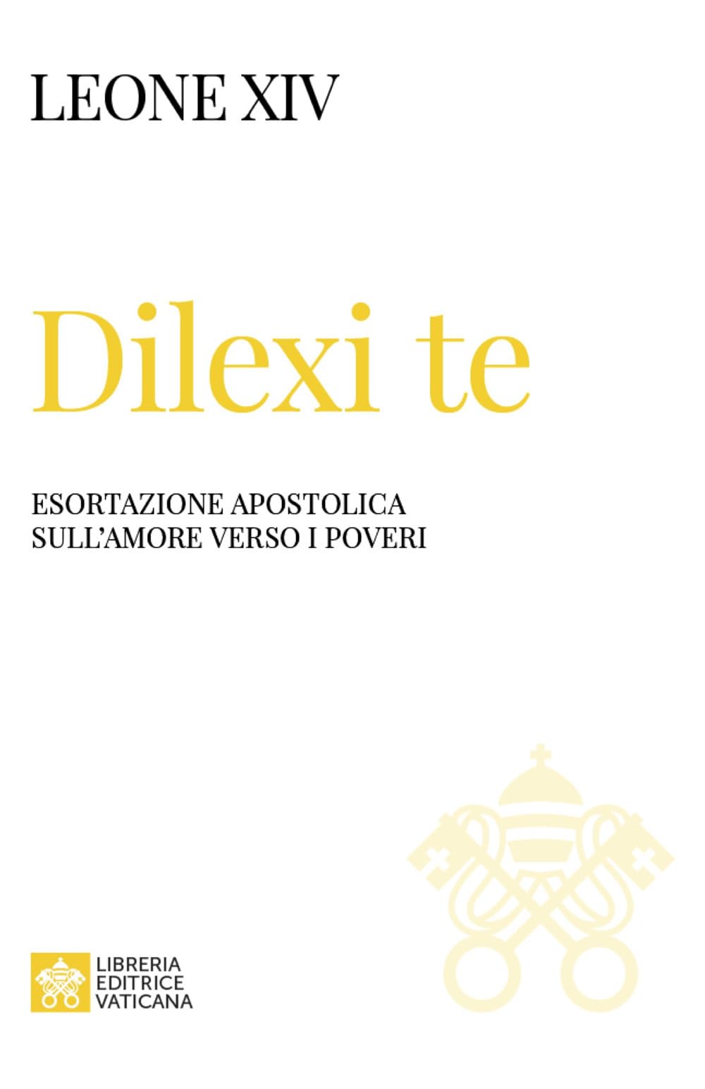 Dilexi te. Esortazione apostolica sull'amore verso i poveri book