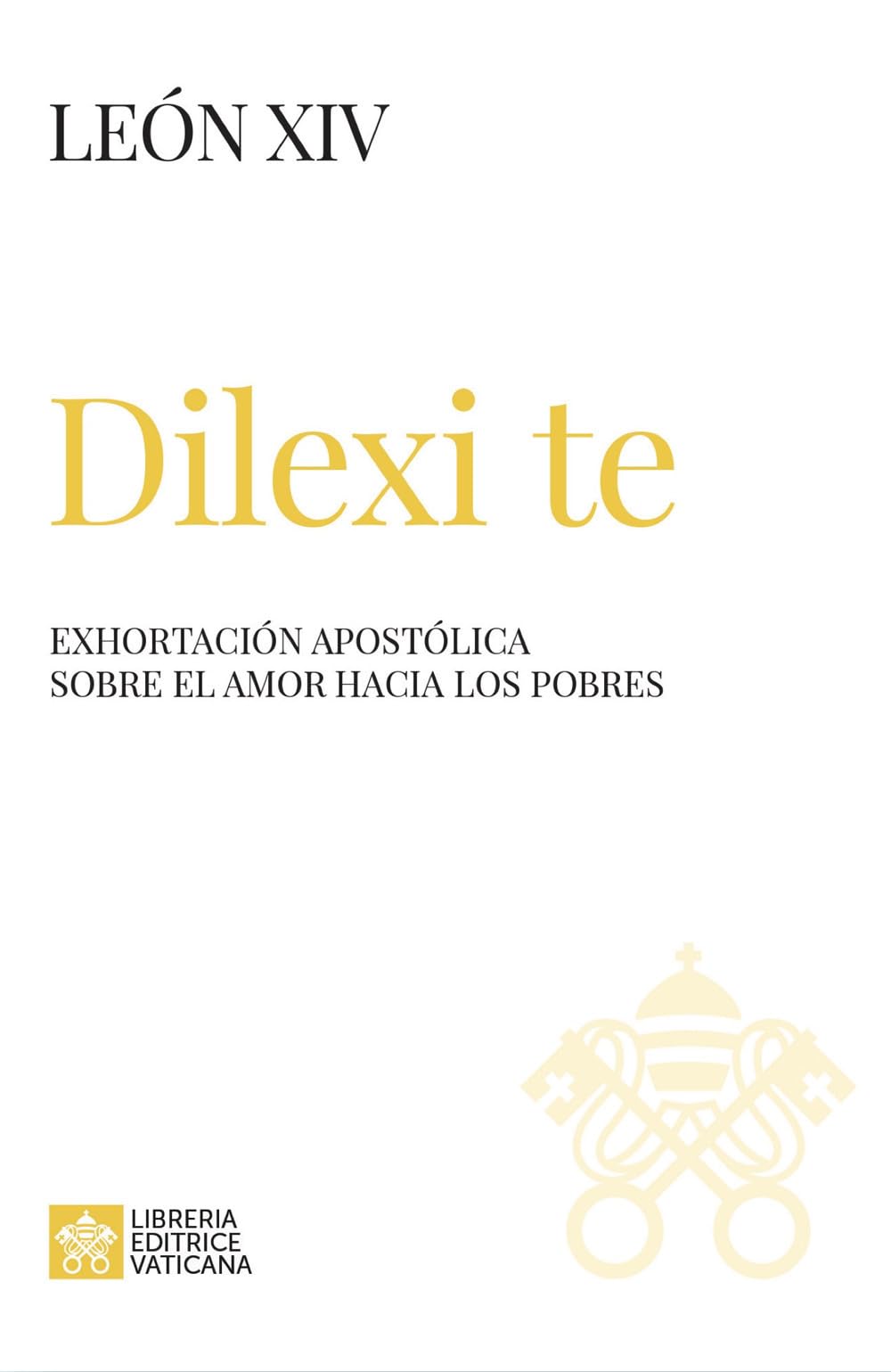 Dilexi te. Exhortación apostólica sobre el amor hacia los pobres book