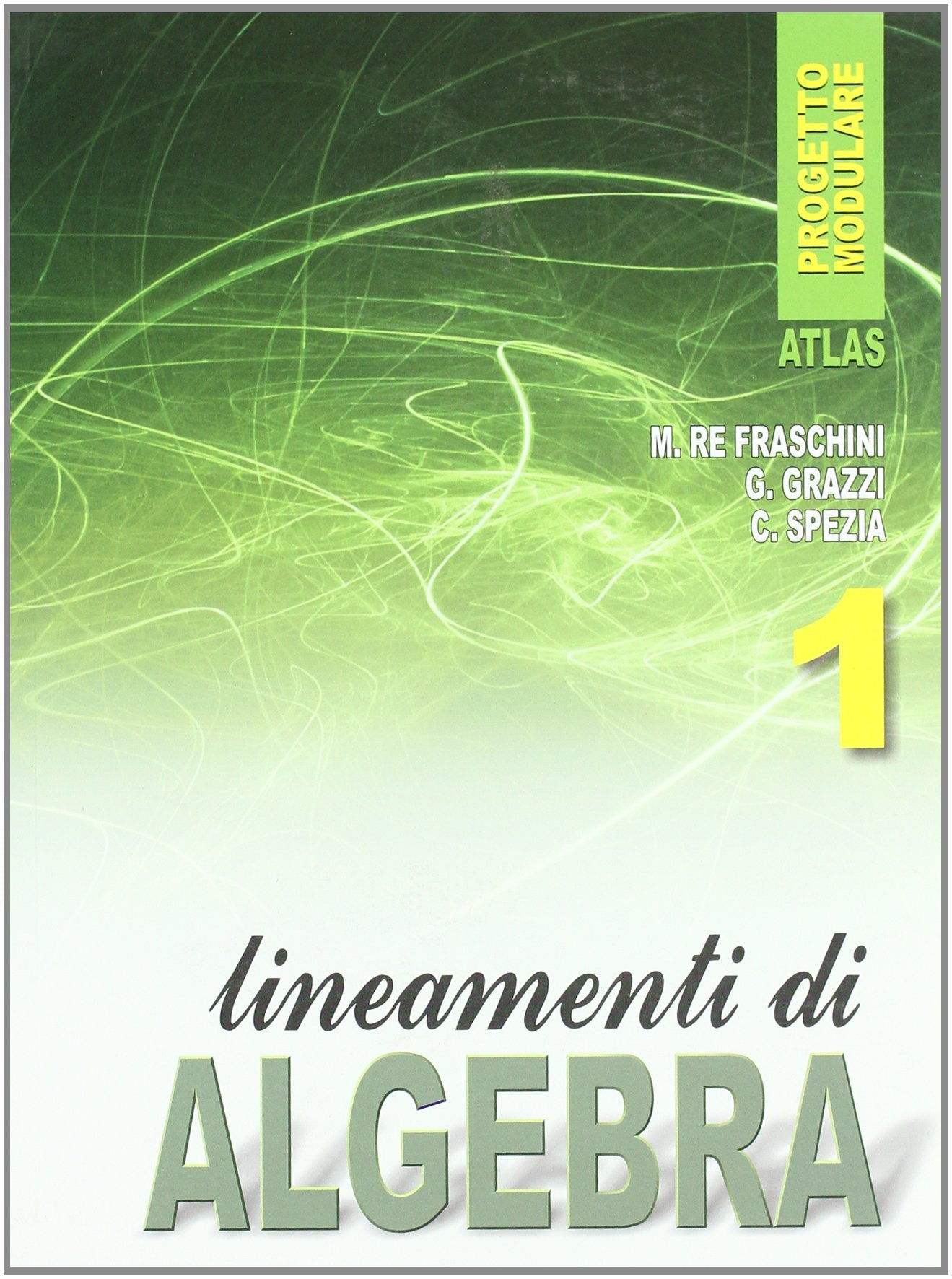 Lineamenti di algebra. Per gli Ist. professionali (Vol. 1) Professional & Reference Books