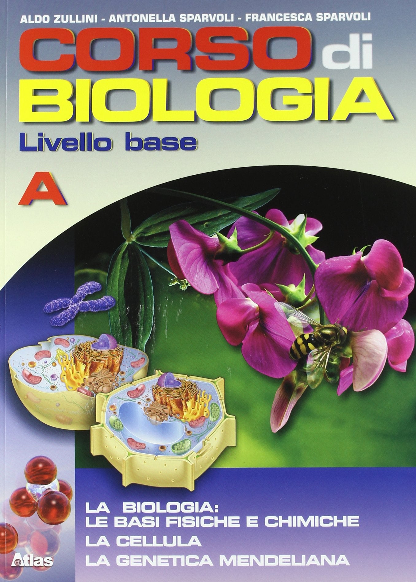 Corso di biologia. Livello base. Vol. A: Le basi-La cellula-La genetica. Per le Scuole superiori. Con espansione online Professional & Reference Books