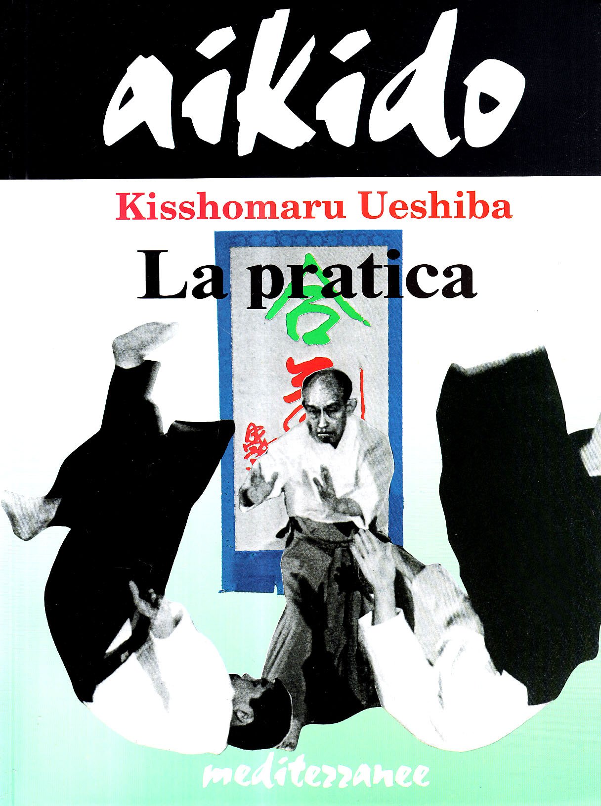 Aikido. La pratica Leisure & Fun