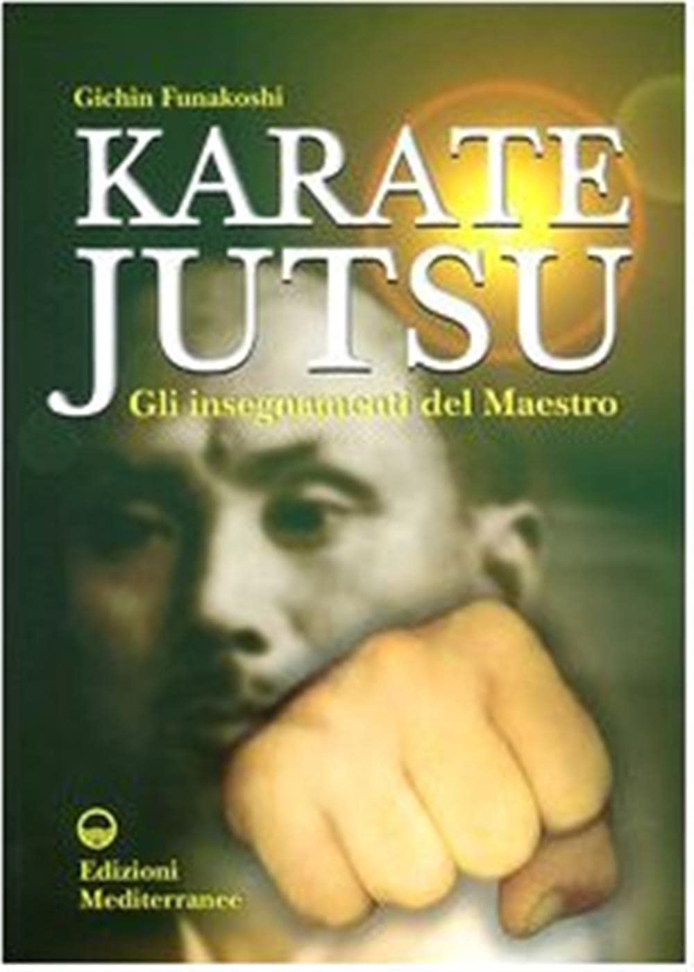 Karate jutsu. Gli insegnamenti del maestro book