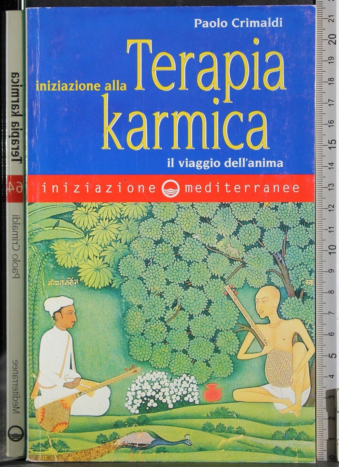 Iniziazione alla terapia karmica. Il viaggio dell'anima book