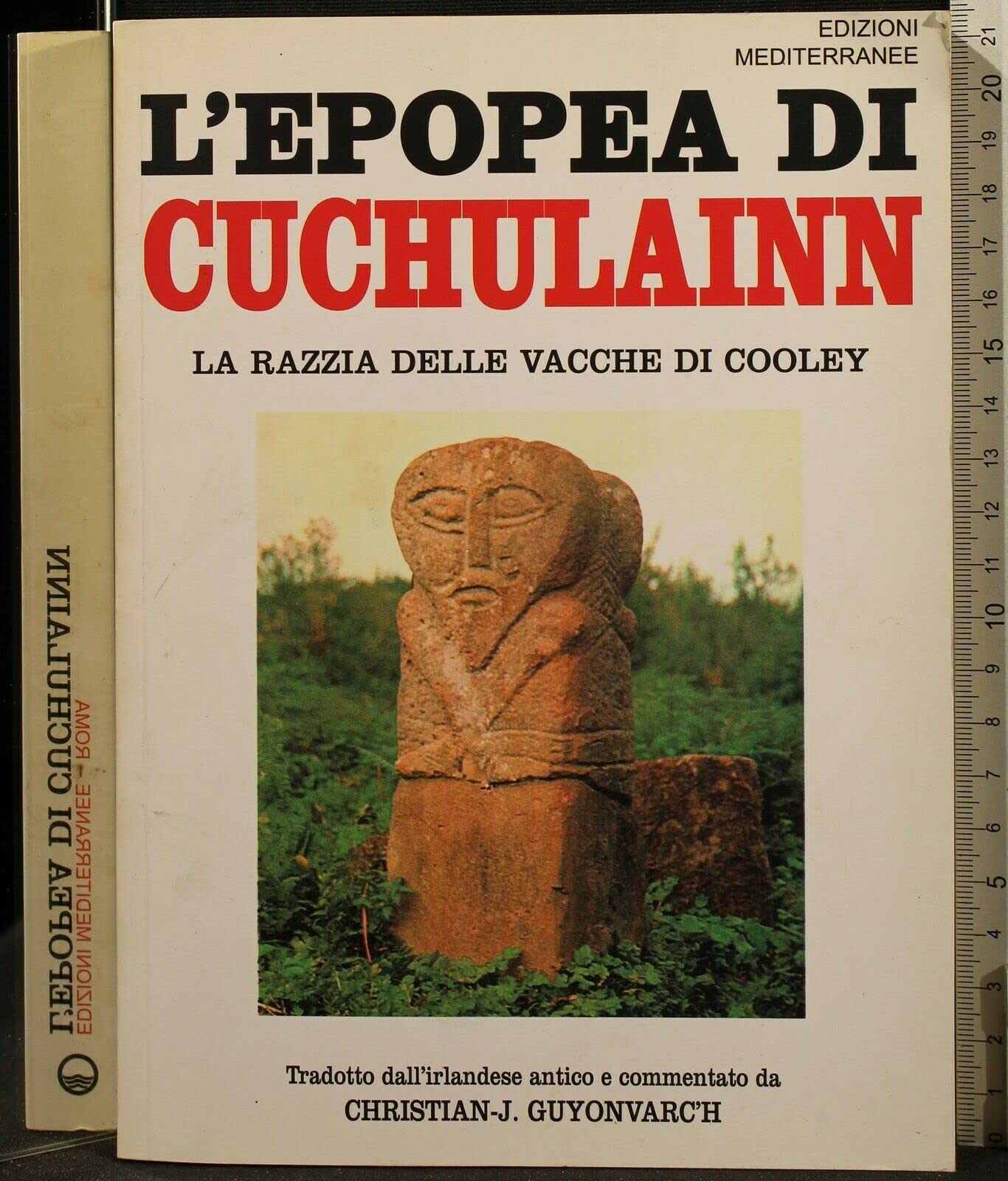 L'epopea di Cuchulainn. La razzia delle vacche di Cooley book