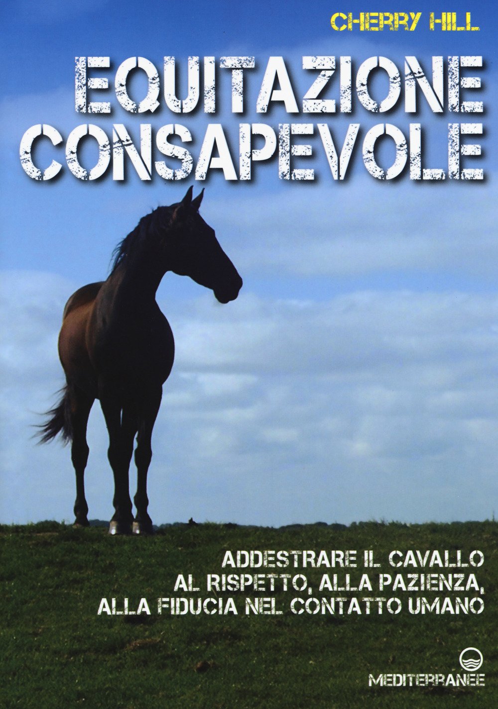 Equitazione consapevole. Ediz. a colori book