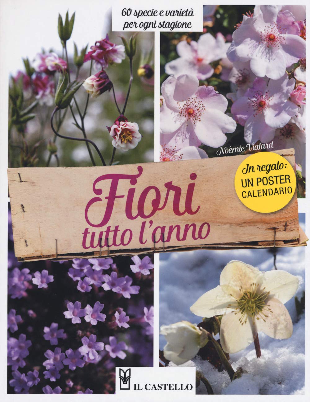 Noemie Vialard - Fiori Tutto L'anno. 60 Specie E Varieta Per Ogni Stagione Garden & Plants