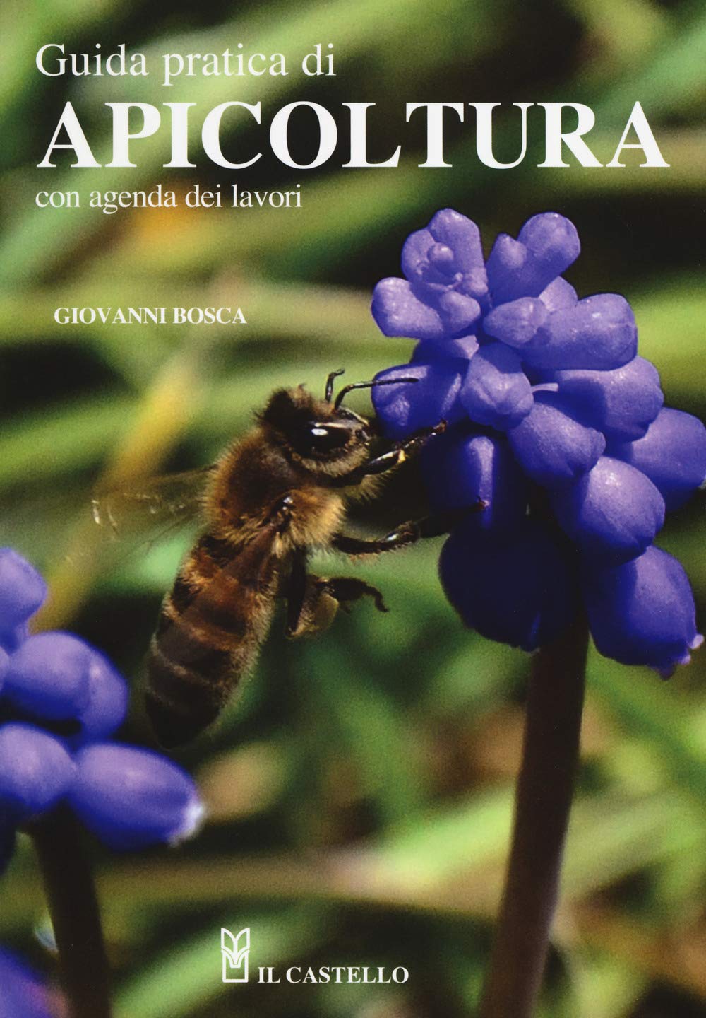 Guida pratica di apicoltura. Con agenda dei lavori book