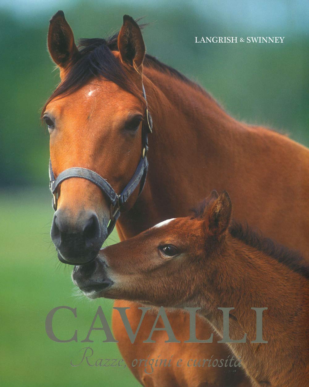 Cavalli. Razze, origini e curiosità book