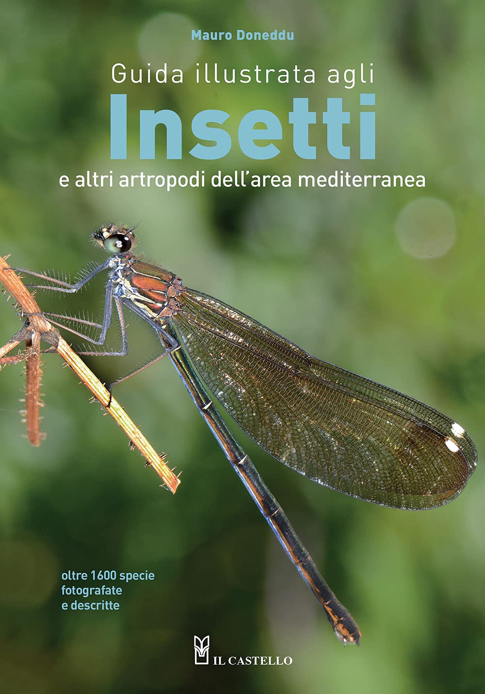 Guida illustrata agli insetti e altri artropodi dell'area mediterranea. Ediz. a colori book