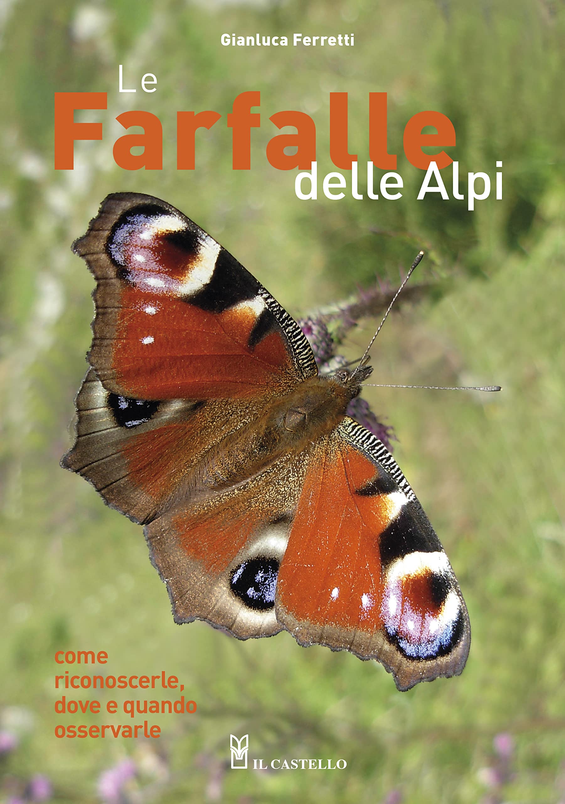Le farfalle delle Alpi. Come riconoscerle, dove e quando osservarle. Ediz. a colori (Natura) Leisure, Home & Garden