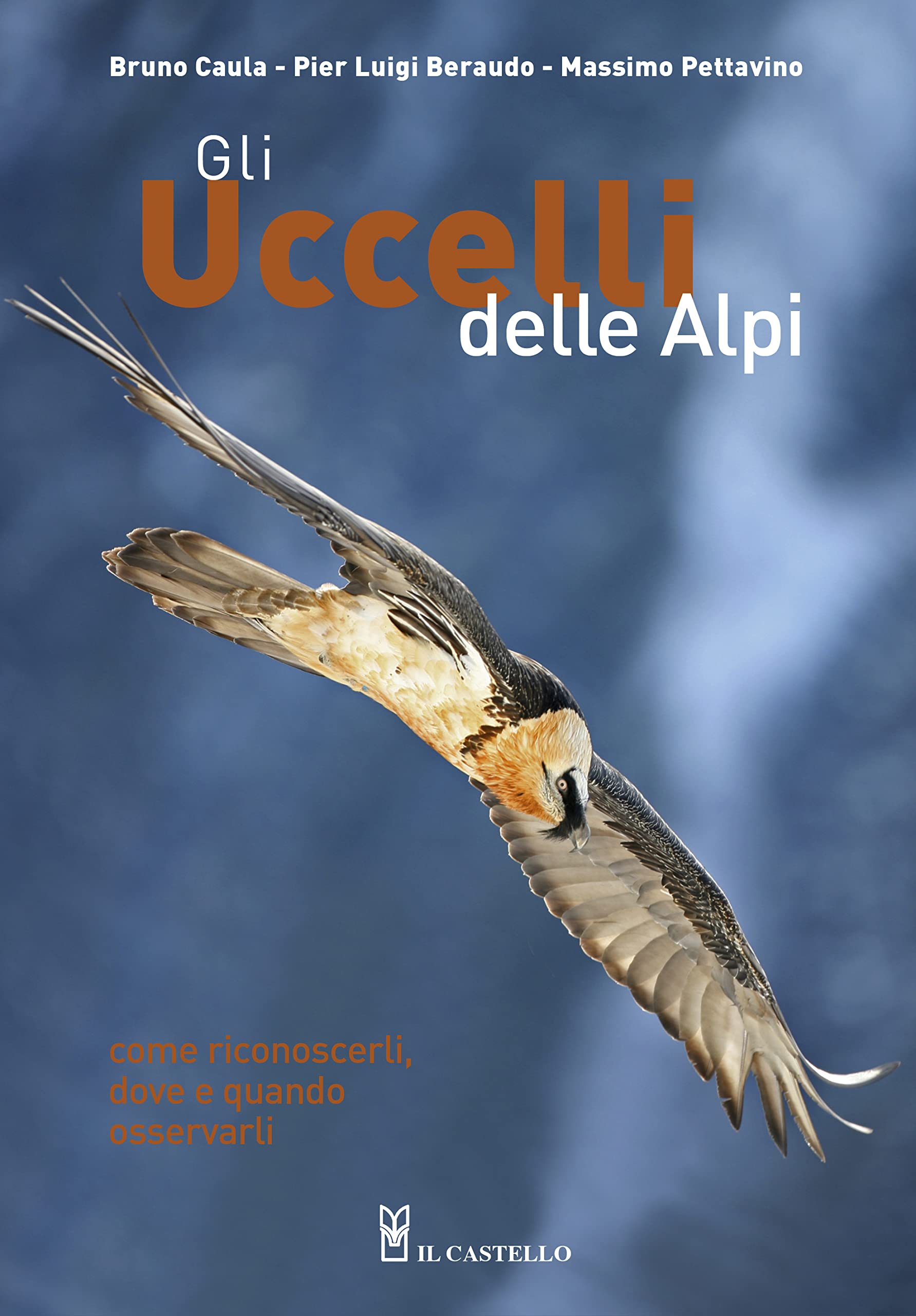Gli uccelli delle Alpi. Come riconoscerli, dove e quando osservarli. Ediz. a colori book