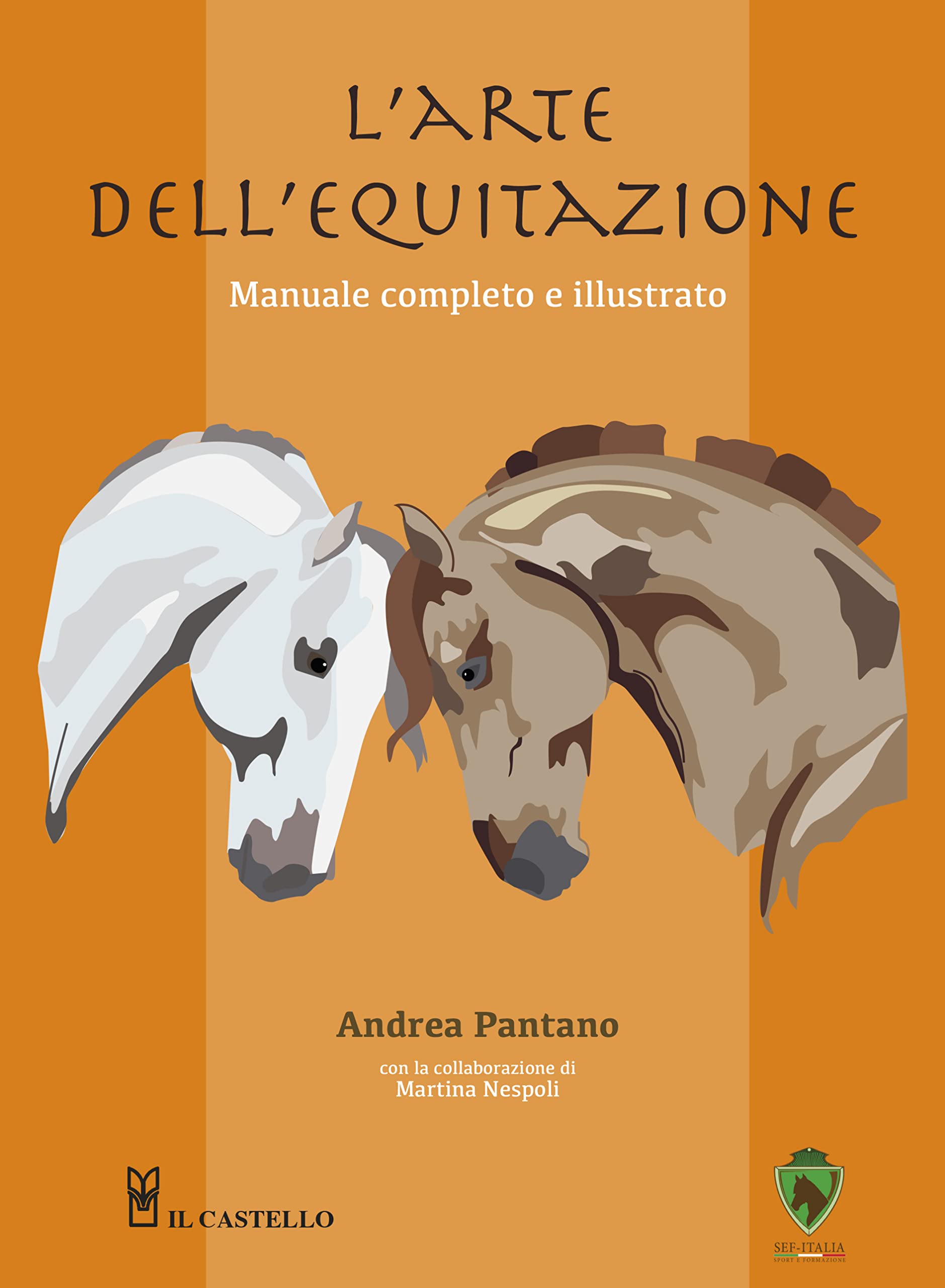 L'arte dell'equitazione. Manuale completo e illustrato book