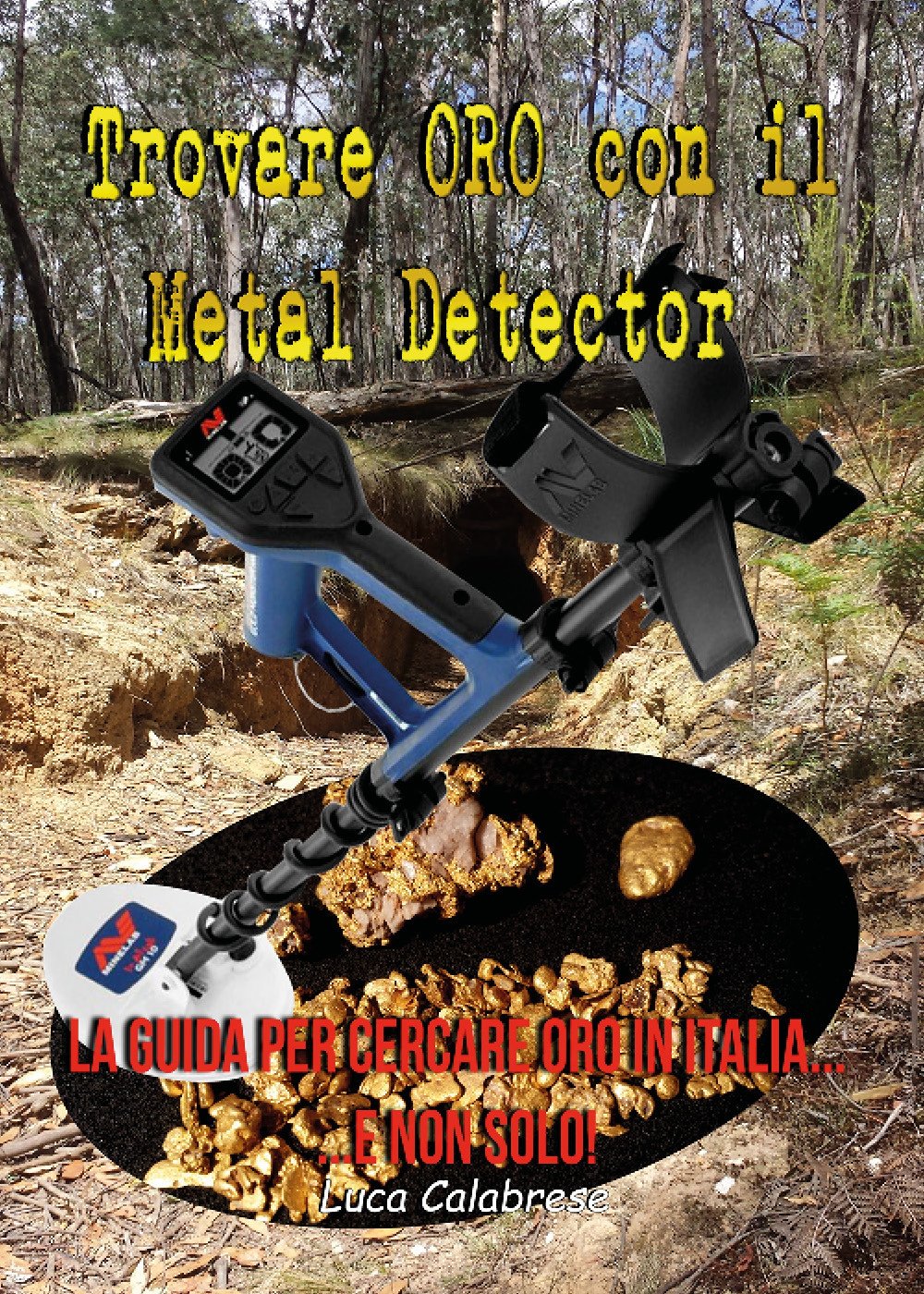 Trovare ORO con il Metal Detector Hobbies & Crafts