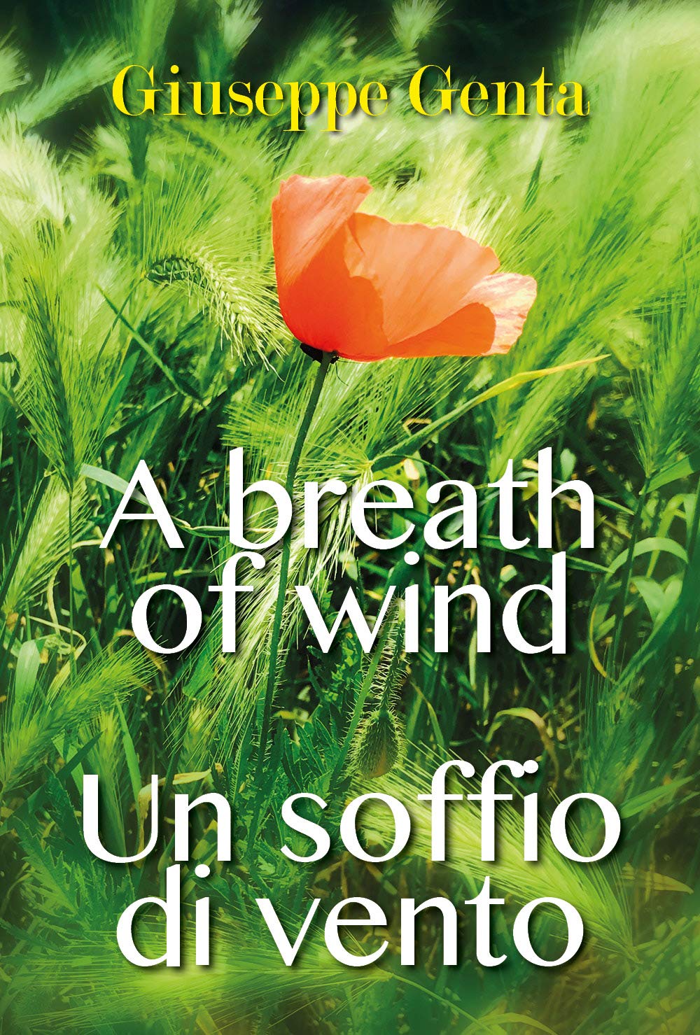 Un soffio di vento - A breath of wind book