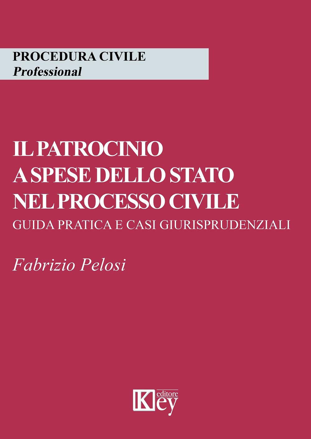 Il patrocinio a spese dello Stato nel processo civile. Guida pratica e casi giurisprudenziali Law