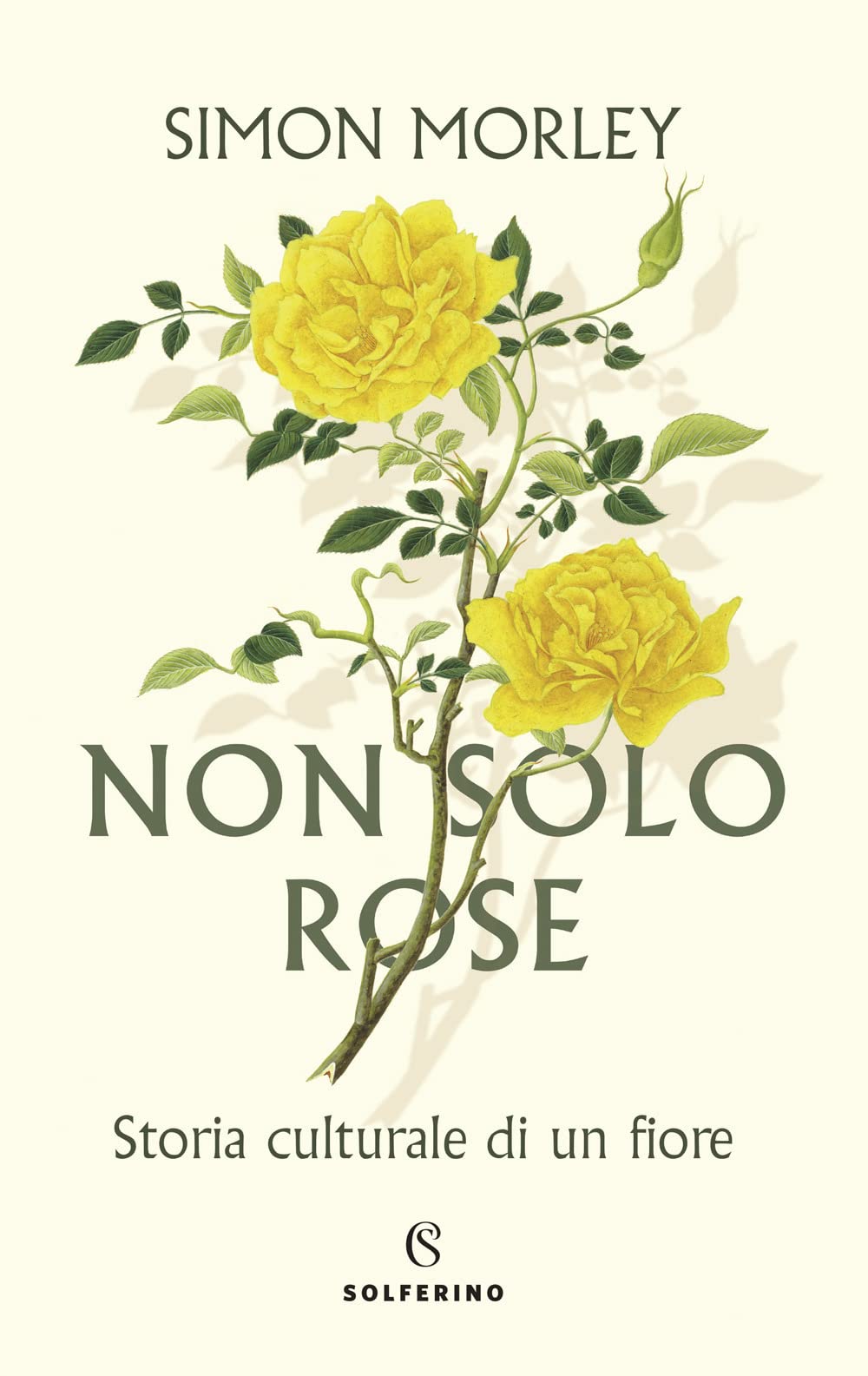 Non solo rose. Storia culturale di un fiore Film, Art & Culture
