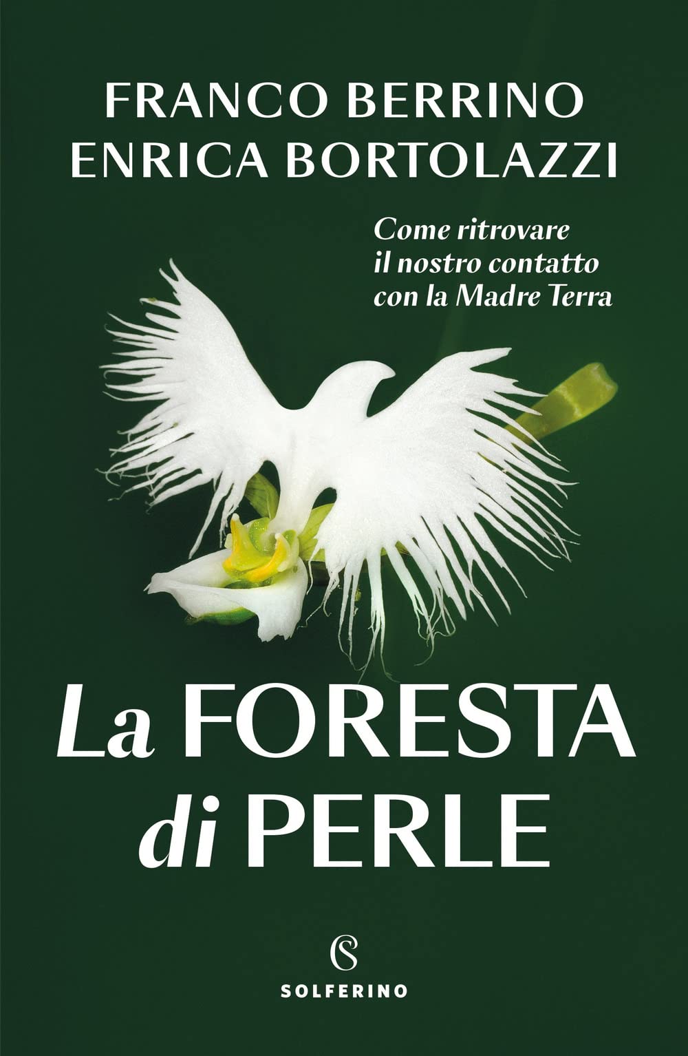 La foresta di perle. Come ritrovare il nostro contatto con la Madre Terra Geology & Geography