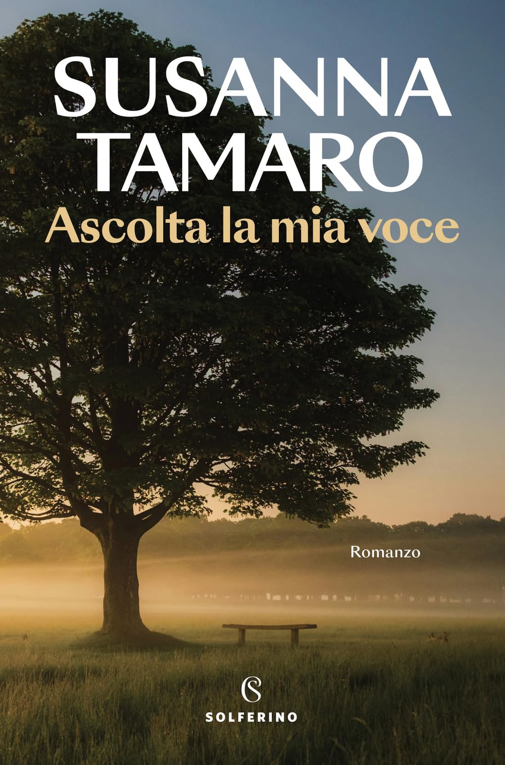 Ascolta la mia voce (Narratori) Contemporary literature