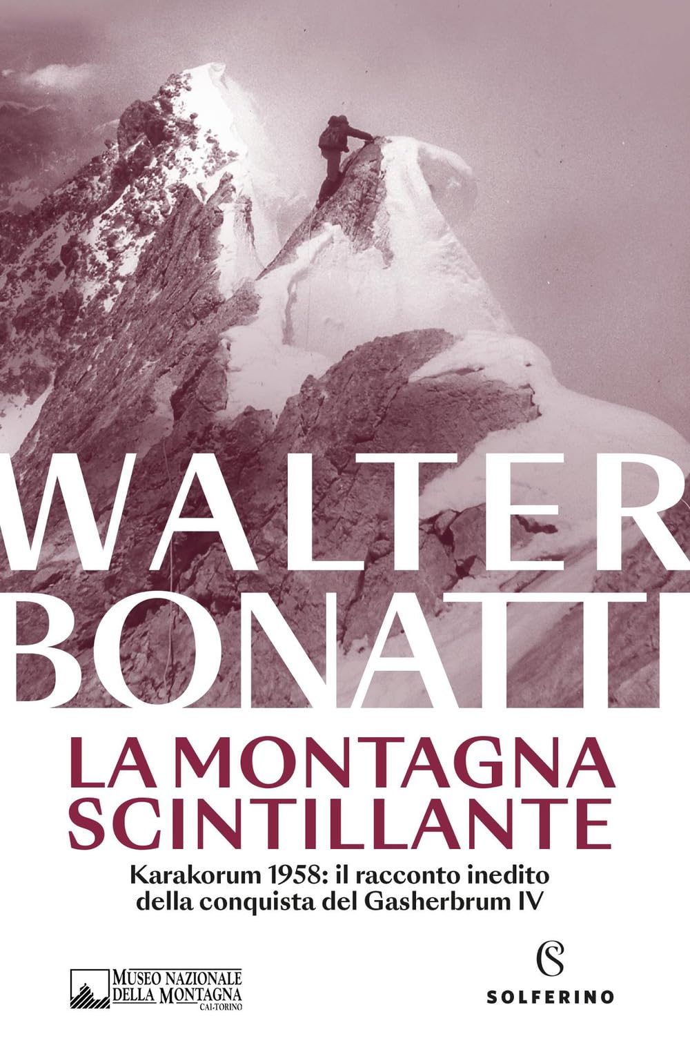 La montagna scintillante book