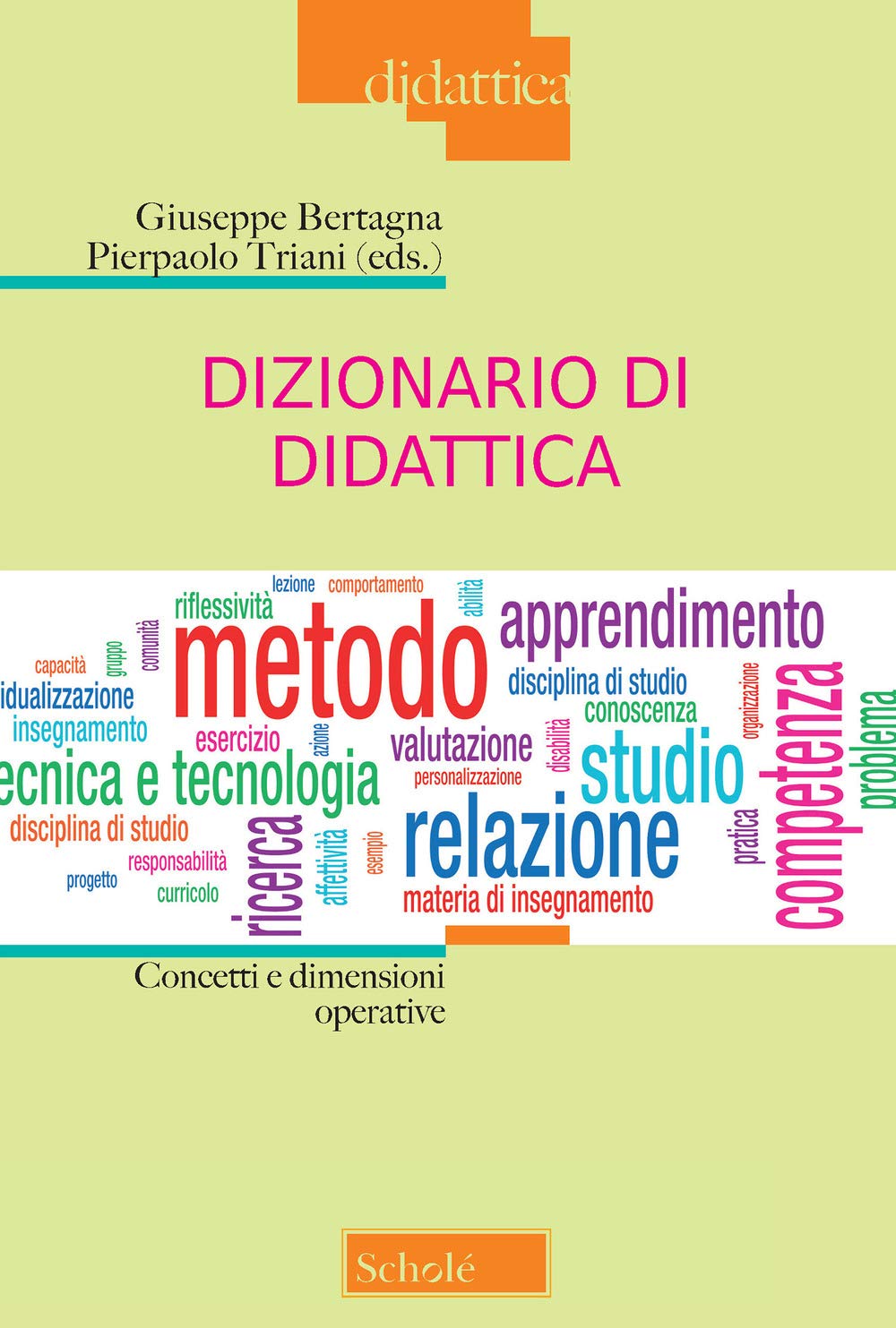 Dizionario di didattica. Concetti e dimensioni operative. Nuova ediz. Politics & History