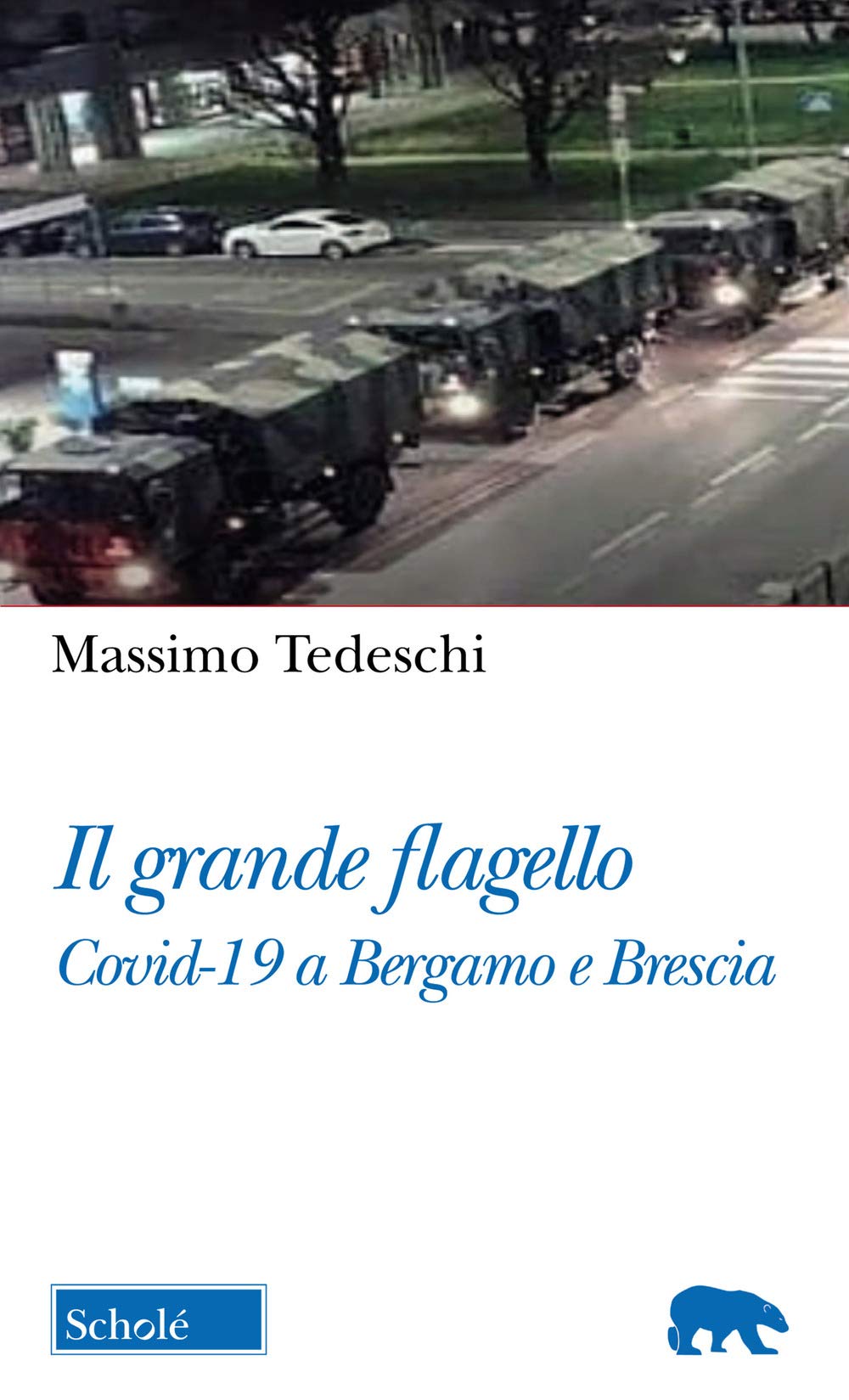 Il Grande flagello. Covid-19 a Bergamo e Brescia (Orso blu) Medicine