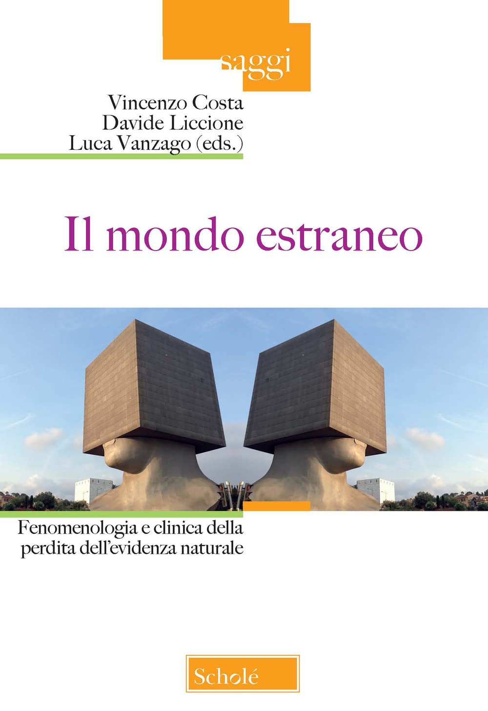 Il mondo estraneo. Fenomenologia e clinica della perdita dell'evidenza naturale (Saggi) Philosophy