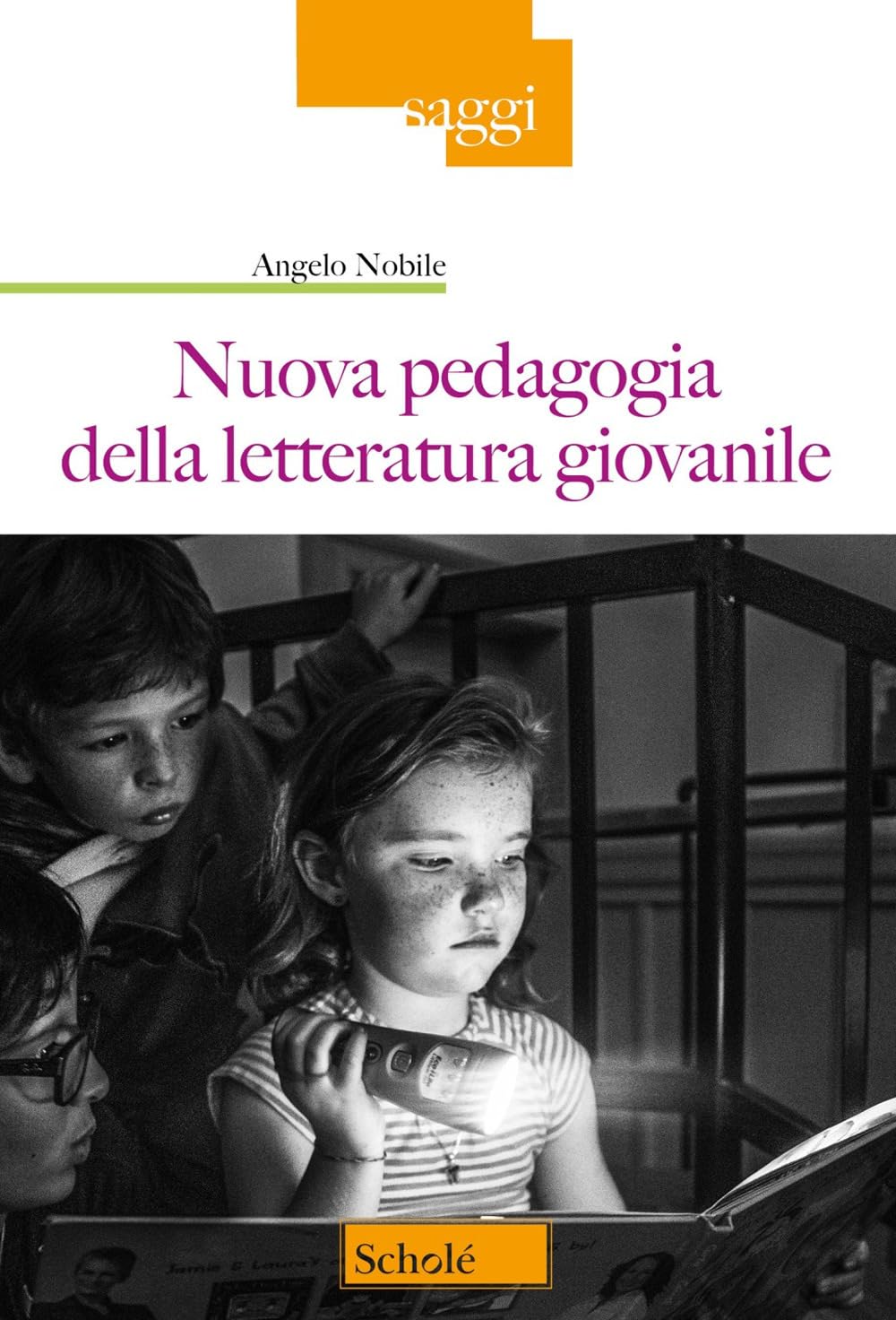 Nuova pedagogia della letteratura giovanile (Saggi) Education & Training