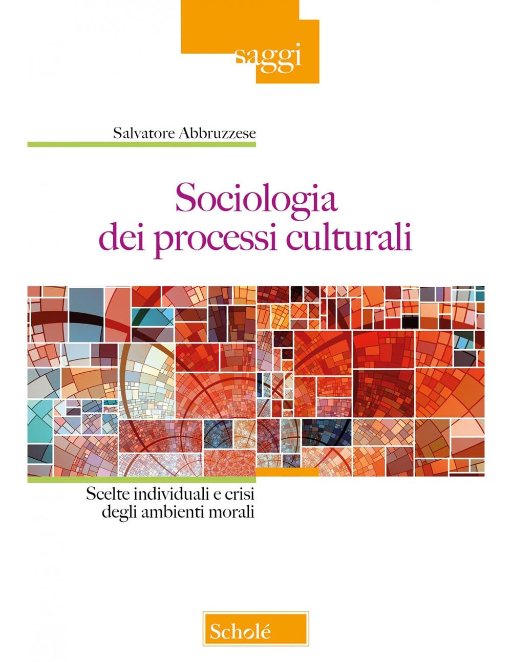 Sociologia dei processi culturali. Scelte individuali e crisi degli ambienti morali (Saggi) Books