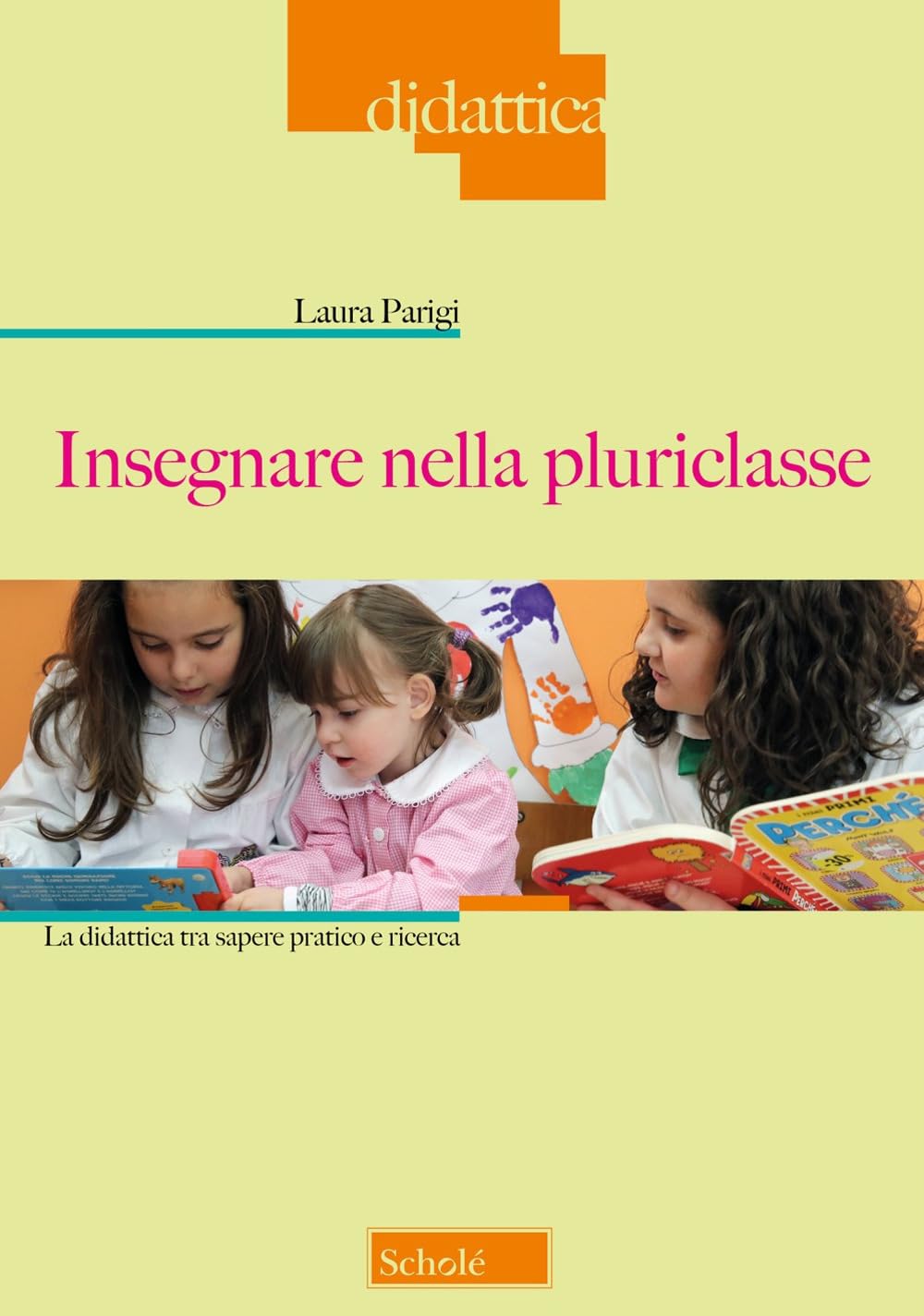 Insegnare nella pluriclasse. La didattica tra sapere pratico e ricerca book
