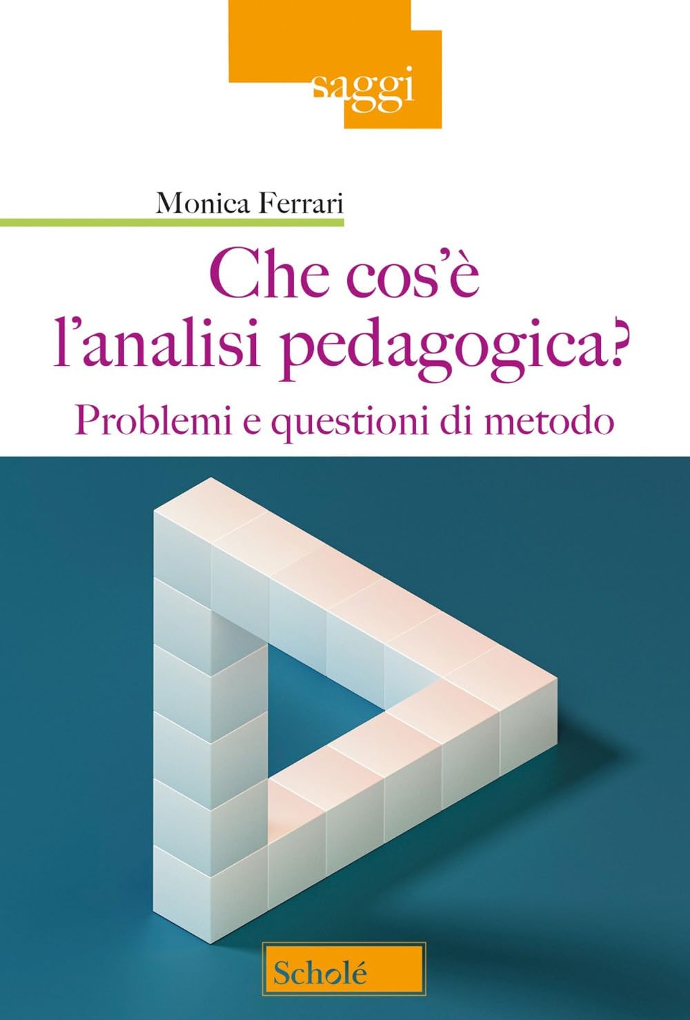 Che cos'è l'analisi pedagogica? Problemi e questioni di metodo (Saggi) Education & Training