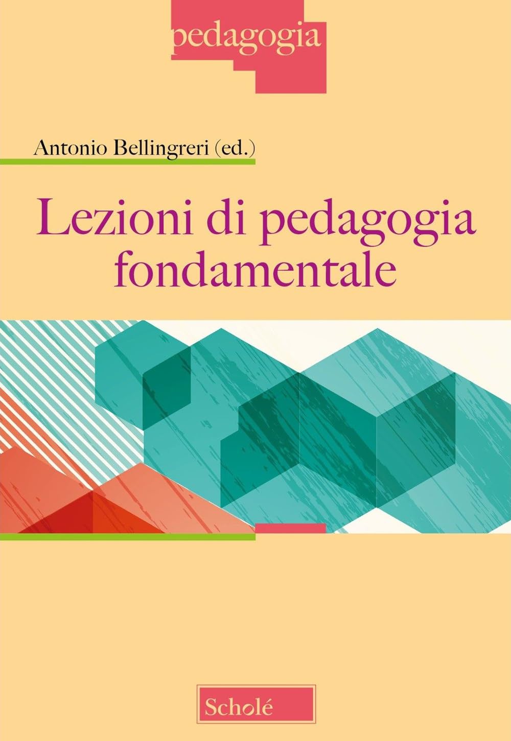 Lezioni di pedagogia fondamentale. Nuova ediz. Education & Training