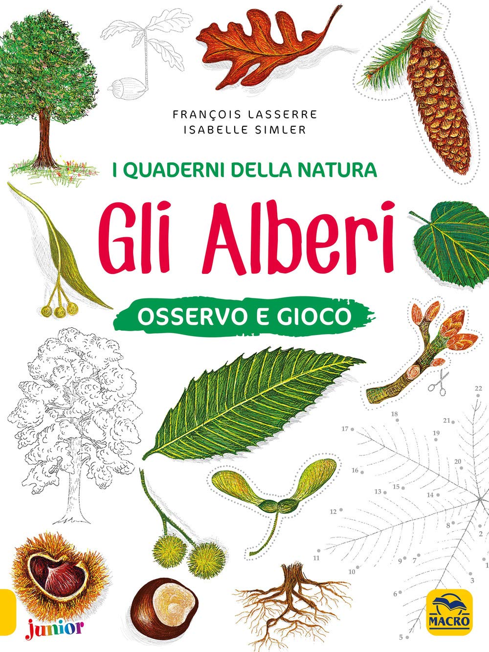 Gli alberi. Osservo e gioco. Ediz. a colori book