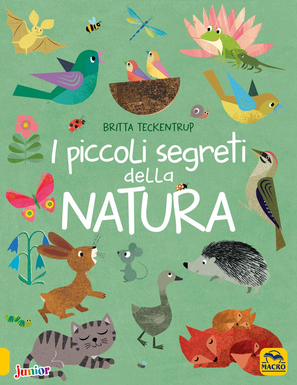 I piccoli segreti della natura. Ediz. a colori book
