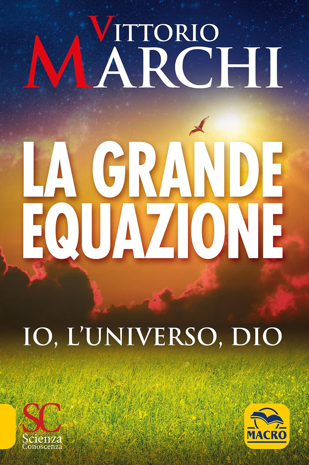 La grande equazione. Io, l'universo, Dio book